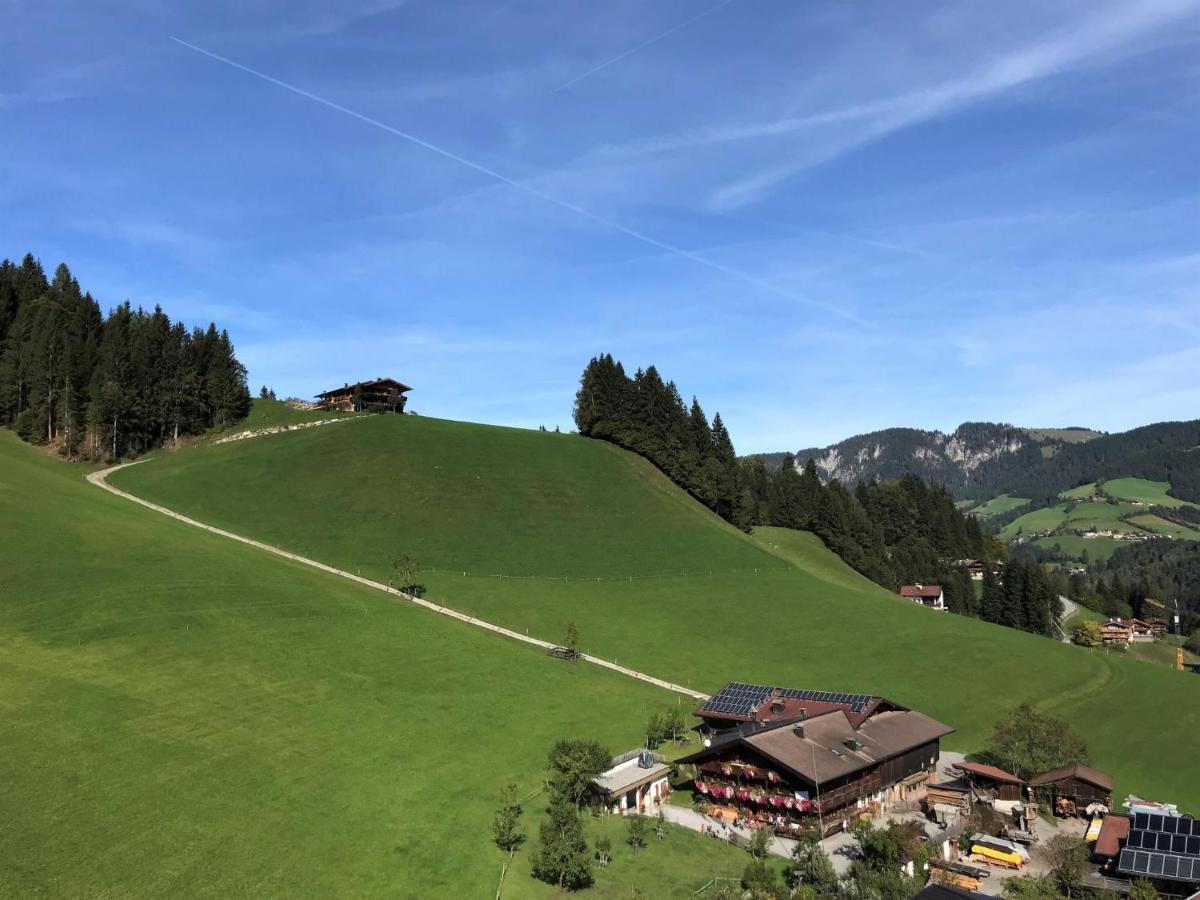 Apartment Chalet Edelweiss - Wil001 By Interhome Auffach Kültér fotó