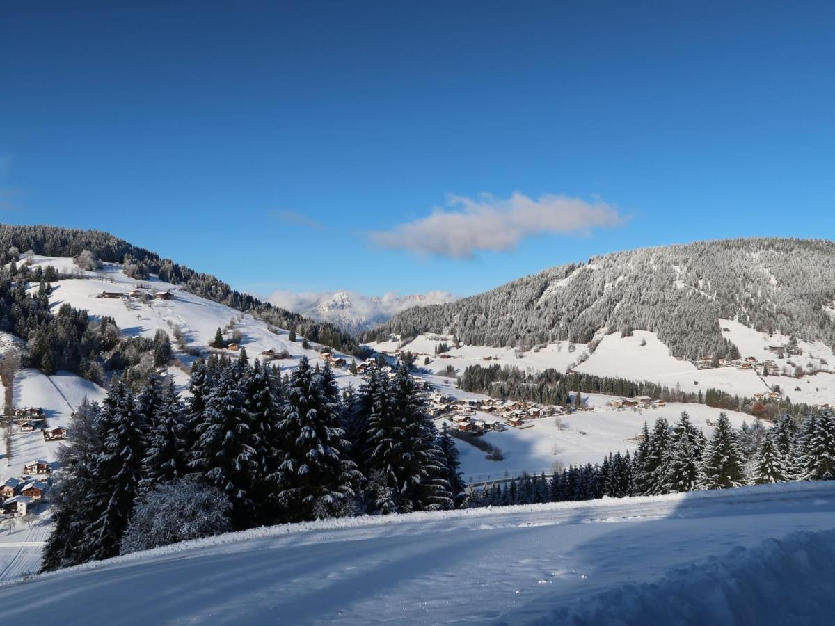 Apartment Chalet Edelweiss - Wil001 By Interhome Auffach Kültér fotó