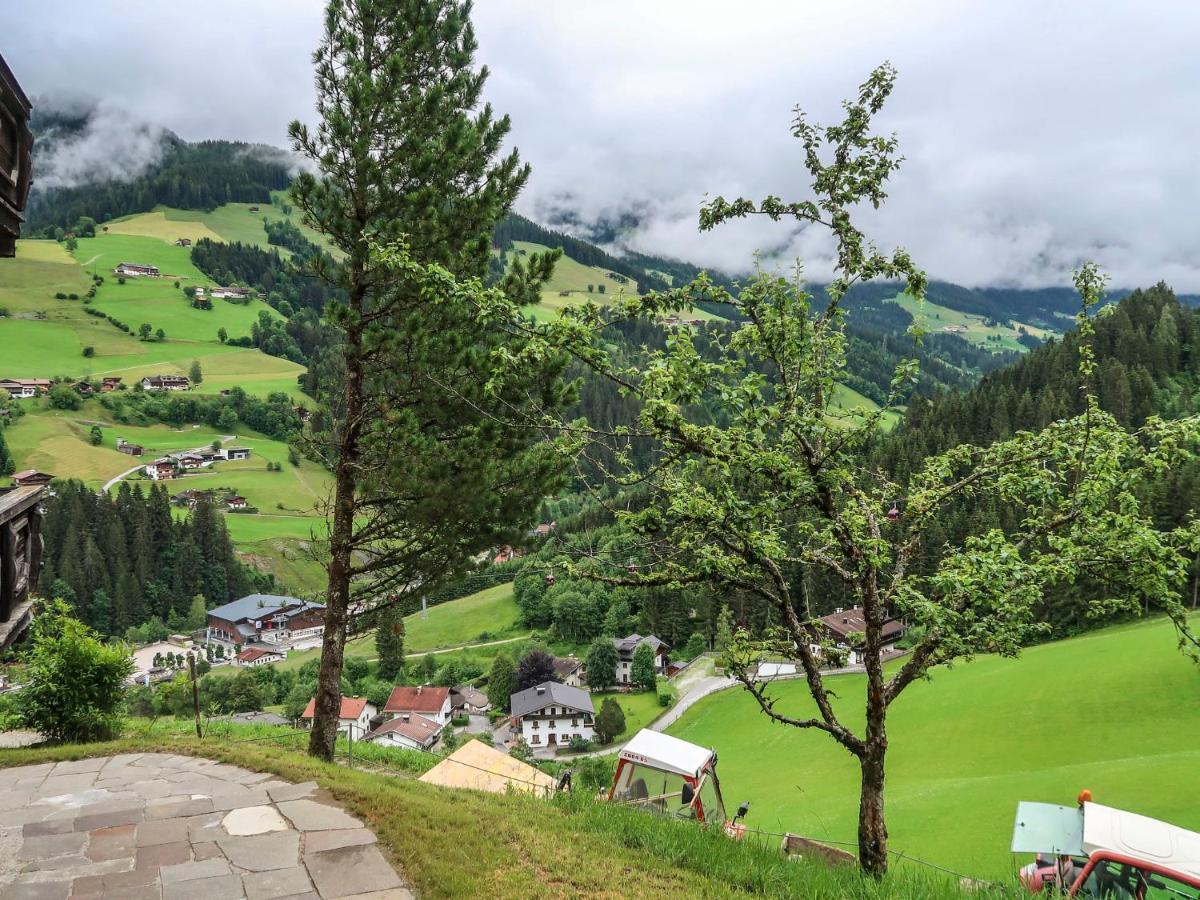 Apartment Chalet Edelweiss - Wil001 By Interhome Auffach Kültér fotó