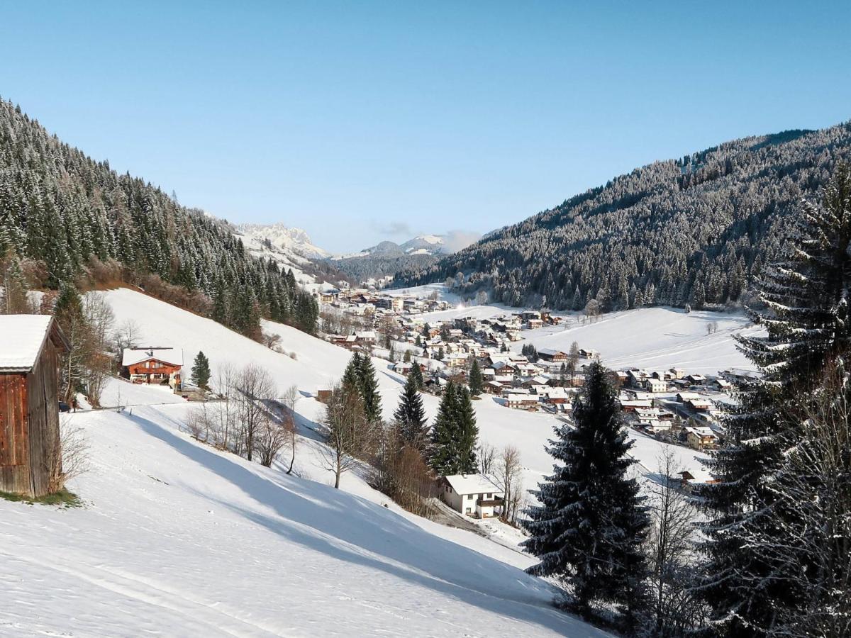 Apartment Chalet Edelweiss - Wil001 By Interhome Auffach Kültér fotó